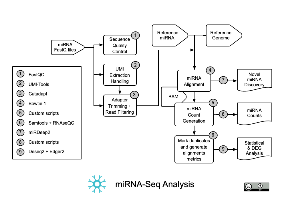 miRNA-Seq Analysis