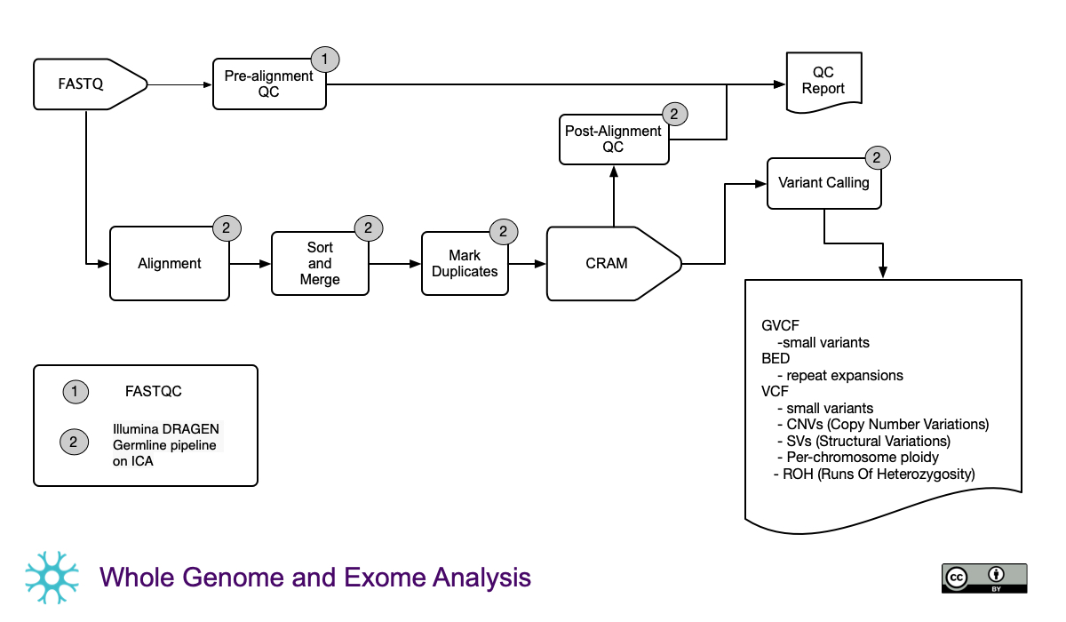 Whole Genome and Exome Analysis