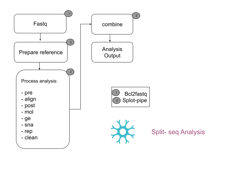 scRNA-Seq Analysis